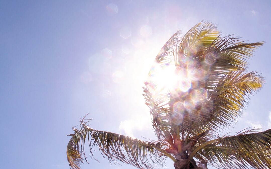 De wind, de zon en de vrijheid van de Cariben