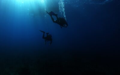 Mijn duikervaring bij Bonaire