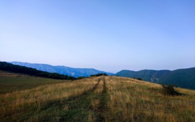 Mijn wandeling door de Blue Mountains