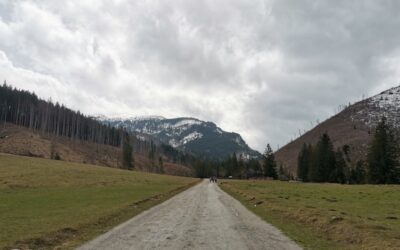De rust van de Alpen in Oostenrijk